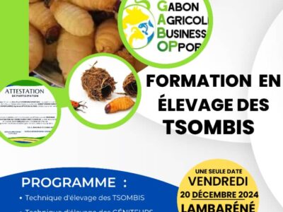 Entrepreneuriat : élevage de Tsombi
