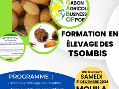 Entrepreneuriat : élevage des Tsombi