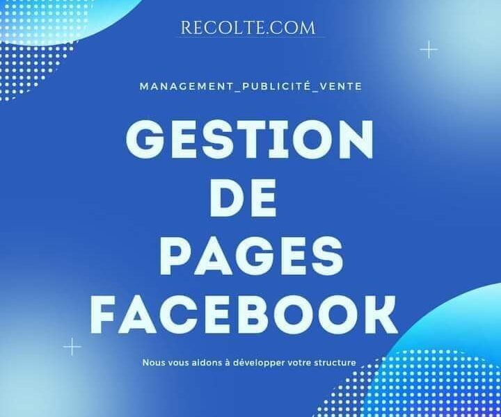 Gestion de pages & Community manager