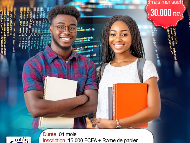 Formation en informatique