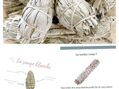 Sauge Blanche Californienne