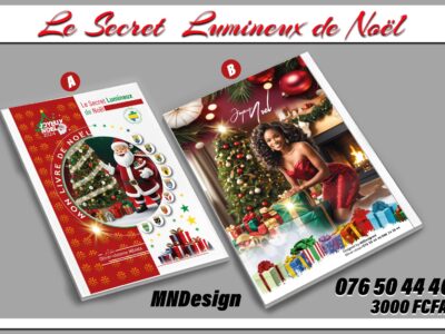 Le Secret Lumineux de Noël