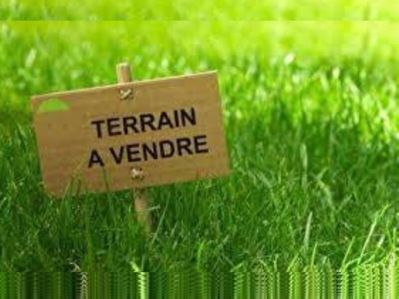 Opportunité à saisir