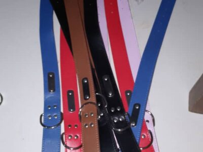 Matériels pour chiens