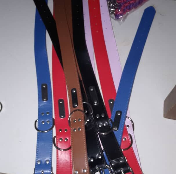 Matériels pour chiens