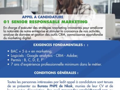 Senior Responsable Marketing