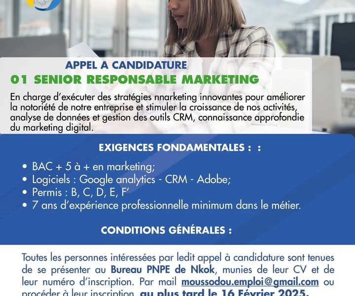 Senior Responsable Marketing