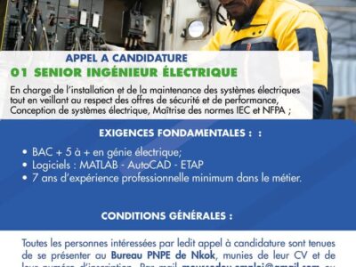 Senior ingénieur électrique
