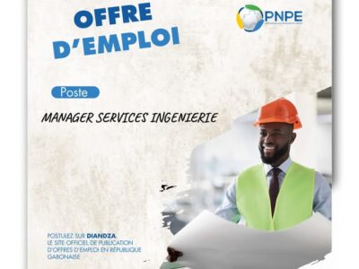 Manager Services inginierie