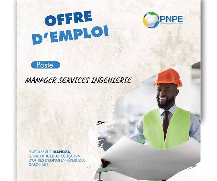 Manager Services inginierie