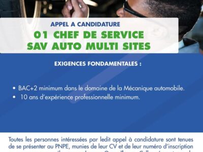01 Chef de Service SAV Auto Multi Sites