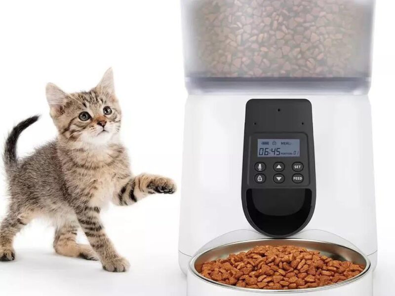 Distributeur de croquettes