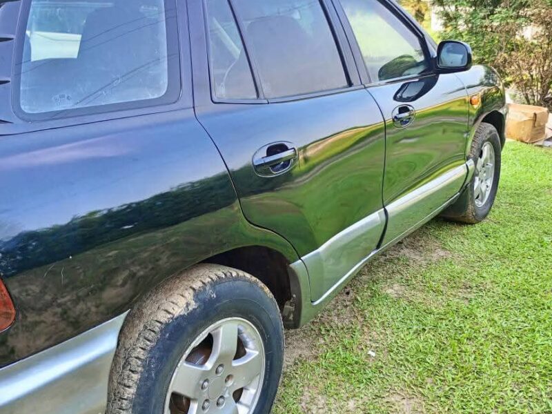 Hyundai Santa Fe 1