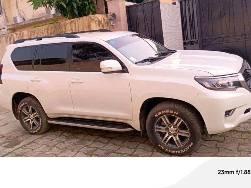 Land Cruiser Prado VX