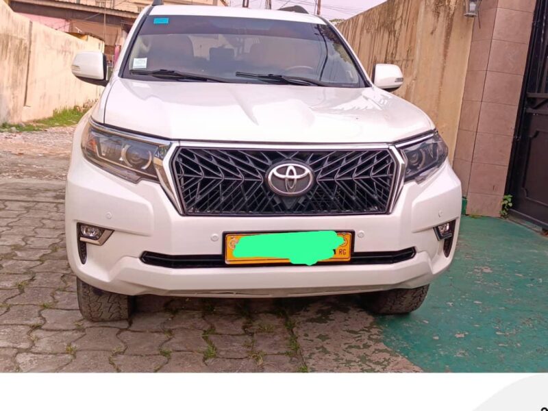 Land Cruiser Prado VX