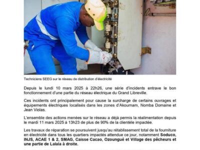 SEEG : Perturbations sur le réseau électrique