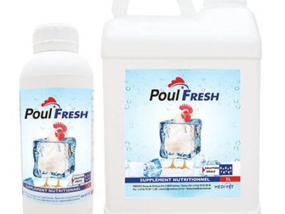 **Promotion Poul Fresh 🚨🚨🚨🚨🚨🚨** 🌡️