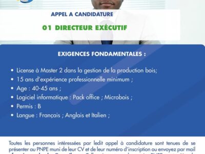 01 Directeur Exécutif
