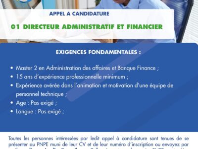 01 Directeur Administratif et Financier