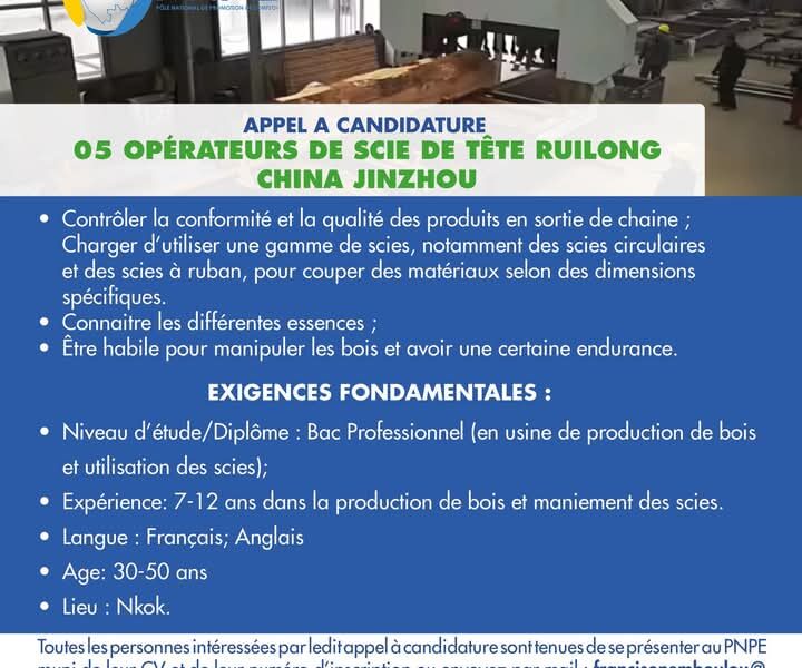 05 Operateurs de Scie de Tête Ruilong China Jinzhou