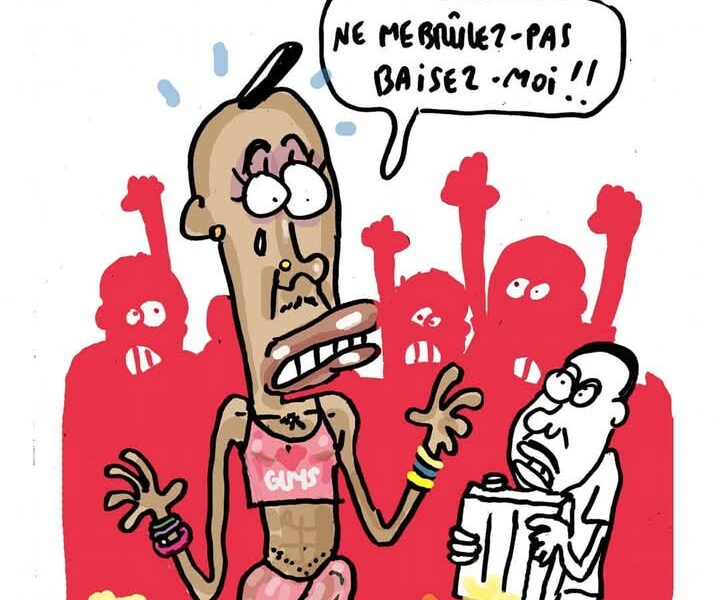 Revue de presse satirique