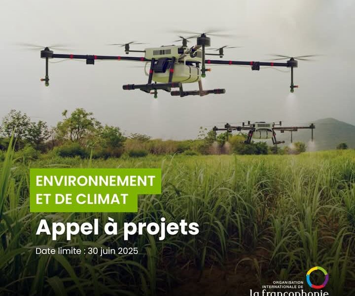 Appel à candidatures