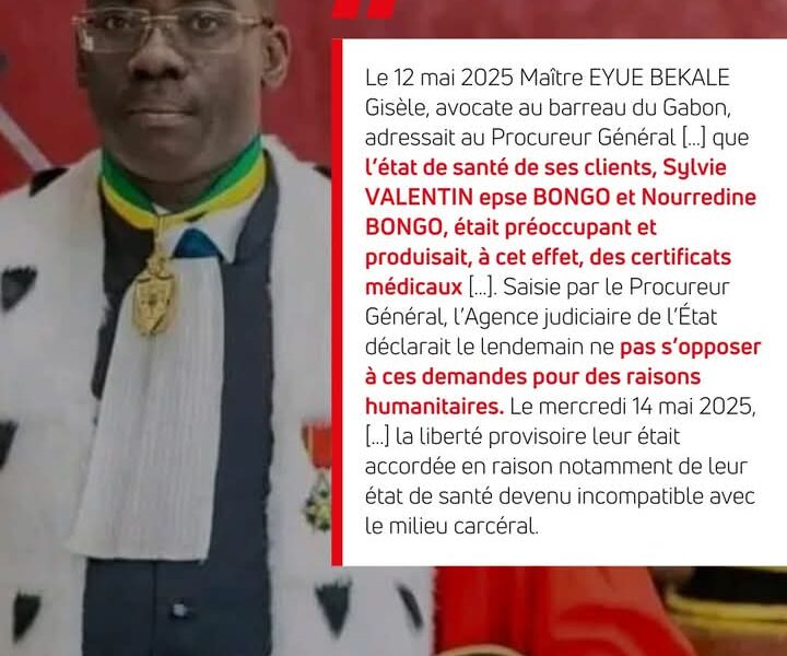 Présence d'Ali Bongo Ondimba et sa famille en Angola