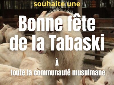 Bonne fête du Mouton 🐑 aux Musulmans