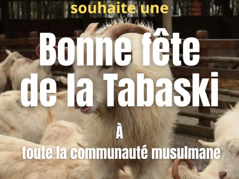 Bonne fête du Mouton 🐑 aux Musulmans